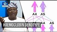 Analysing Haemoglobin Genotype, Blood Group