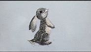 How to Embroider a Bunny - DIY Hand Embroidery