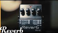 Boss RV-6 Reverb/Delay | Reverb Demo Video
