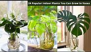 24 Popular Indoor Plants You Can Grow In Vases
