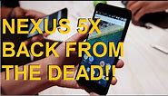 Repair your DEAD LG NEXUS 5X! No Boot, No Loop, Blank Screen, No Red Led |SIEPONLINE|