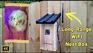 Green Backyard Long-Range WIFI Bird Nest box Camera Review Setup and Streaming Demo