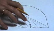 How to draw an acanthus leaf