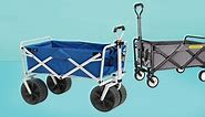 10 Best Beach Wagons and Carts of 2024