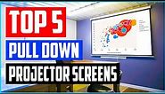 Top 5 Best Pull Down Projector Screens in 2021 Reviews