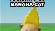 Banana Cat Outfit