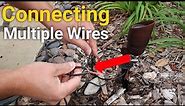 How to connect multiple wires | Landscape Lighting