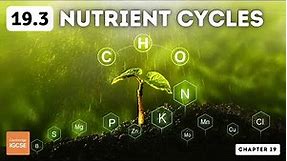 IGCSE Biology - Nutrient cycles (19.3)