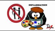 Inflammation Vs Infection!