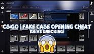 CSGO | Fake Case Opening Cheat FREE