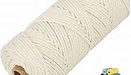 45 Color Options Macrame Cord 2mm/3mm/4mm/5mm/6mmx109 Yards Cotton Cord, 4 Ply Twisted Yarn, Natural Perfect Supplies DIY Crafts (Natural White)