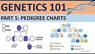 GENETICS 101(Part 5) | Understanding Pedigree Charts| CXC Biology Tutor