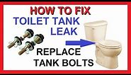 How to Replace Toilet Tank to Bowl BOLTS and Gasket - Fix Toilet Tank Water Leak - Cheap Easy Fast!