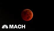 The ‘Super Blue Blood Moon’ Eclipse Is Almost Here | Mach | NBC News
