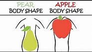 Pear body shape and apple body shape - how does a person become obese?
