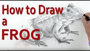 Revealed - How to Draw a Frog in Incredibly Simple Steps