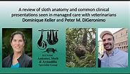 A review of sloth anatomy and common clinical presentations seen in managed care