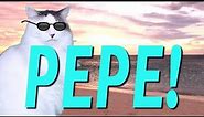 HAPPY BIRTHDAY PEPE! - EPIC CAT Happy Birthday Song