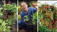 How to Grow Fruit & Vegetables in Hanging Baskets