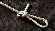 Learn How To Tie The Perfection Loop Fishing Knot