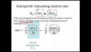 Reaction Rates and Stoichiometry- Chemistry Tutorial