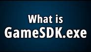 What is GameSDK.exe? [Quick Basic Information]