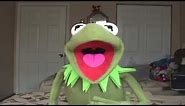 The Muppets - Kermit The Frog sings "Rainbow Connection" (60fps)