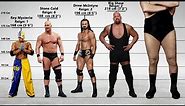 All WWE Champions Size Comparison