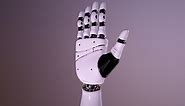 Robot Hand 3D model - Buy Royalty Free 3D model by omg3d