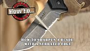How To Sharpen A Serrated-Edge Blade