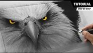 How to Draw Realistic Eagle | Tutorial for BEGINNERS