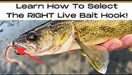The Best 5 Hooks For Live Bait (And When to Use Them!)