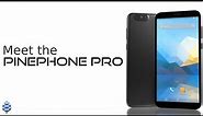 Meet the PinePhone Pro | PINE64