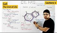 Cell wall | structure composition and Functions (plant cell wall)| Video 1