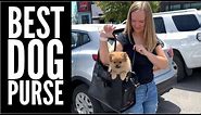 Best AMAZON Dog Purse Review | Pomeranian Puppy