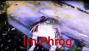 Phrog Sitting MEME Compilation 2