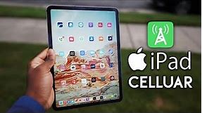 iPad Cellular vs WiFi Only: Don't Make A Mistake! (Worth the Money?)