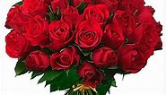 Wholesale Fresh Roses in Bulk for Weddings and Events | Whole Blossoms
