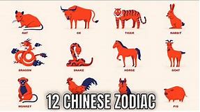 The 12 Chinese Zodiac Signs & What They Mean for Your Personality And The Year Ahead | Ziggy Natural