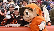 'The people have spoken': Cleveland Browns unveil new 'Brownie the Elf' mid-field logo