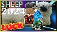 ✪ Sheep Horoscope 2024 |➤| Luck | Born 2015, 2003, 1991, 1979, 1967, 1955, 1943, 1931