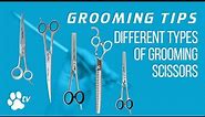Grooming Tips: the different types of grooming scissors | TRANSGROOM