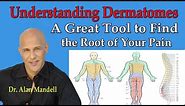 Understanding Dermatomes -- A Great Tool to Find the Root of Your Pain - Dr Mandell