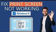 How to Fix Print Screen Not Working on Windows 11?
