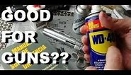 WD40 and 3-in One GOOD For GUNS?? The Final Answer.