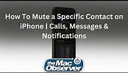 How To Mute a Specific Contact on iPhone | Calls, Messages & Notifications