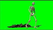 Green Screen Skeleton / Skeleton rises from grave