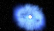 The 'Cow' Explosion: Black Hole Eats White Dwarf