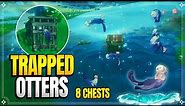 Save The Trapped Otters!!! | 8 Otter Chests | World Quests & Puzzles |【Genshin Impact】
