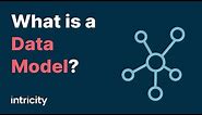 What is a Data Model?